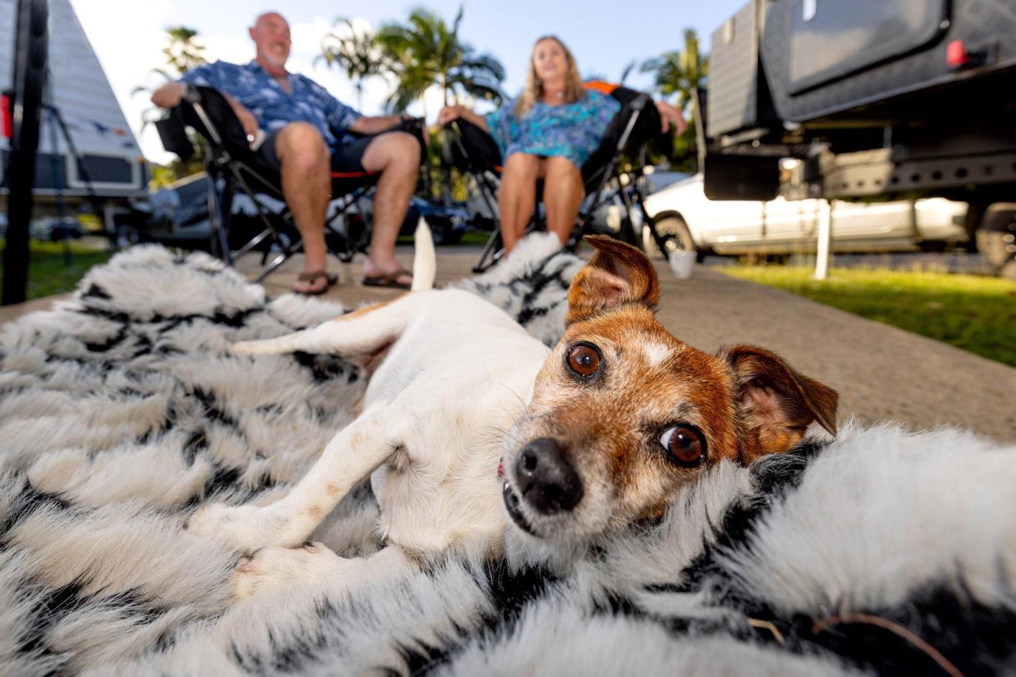 Big4 Whitsundays Tropical Eco Resort Airlie Beach Luaran gambar
